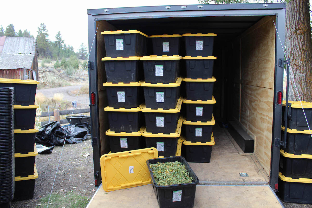 10-09 Drug Bust